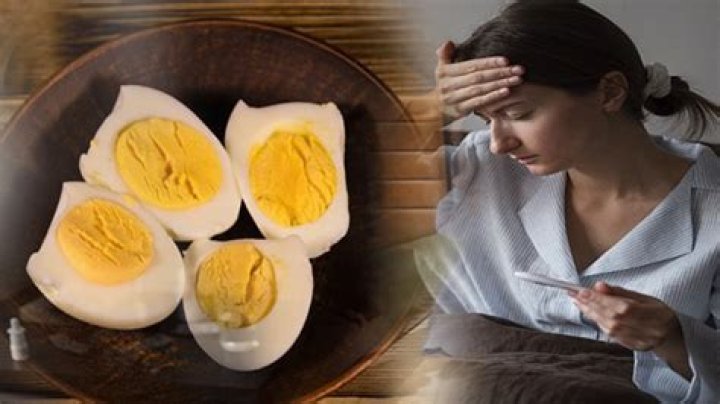 Can We Eat Egg In?