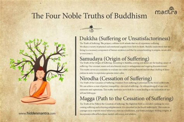 Discover Hidden Insights And Surprising Truths