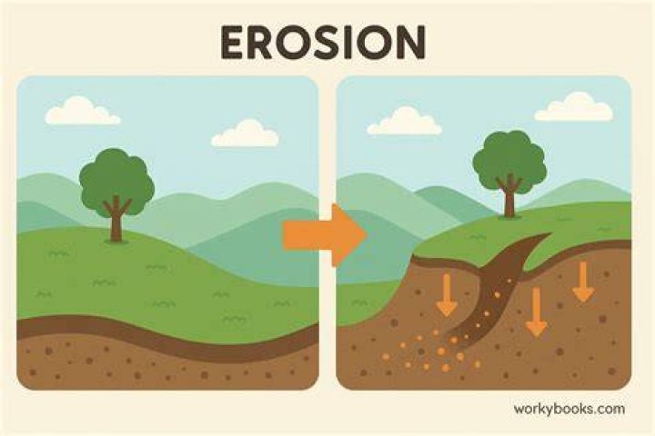 Does clear cutting cause erosion?