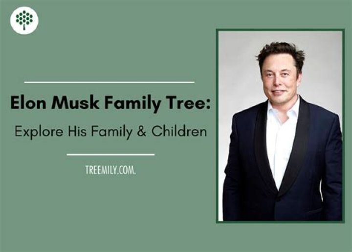 Exploring The Musk Family: The Siblings Of Elon Musk