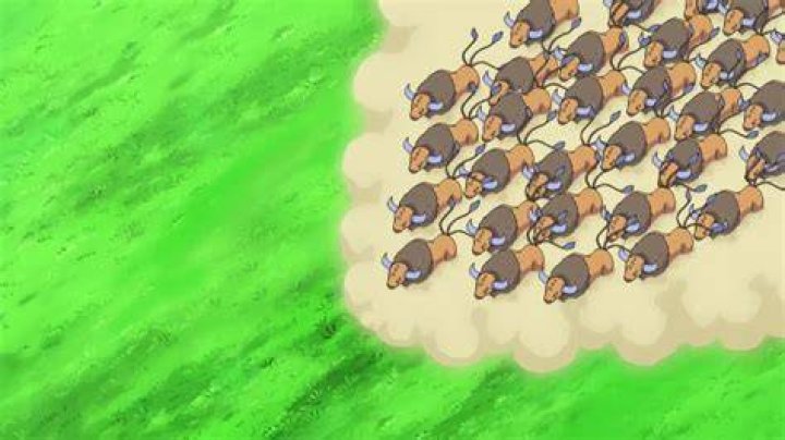 How did Ash get 30 Tauros?
