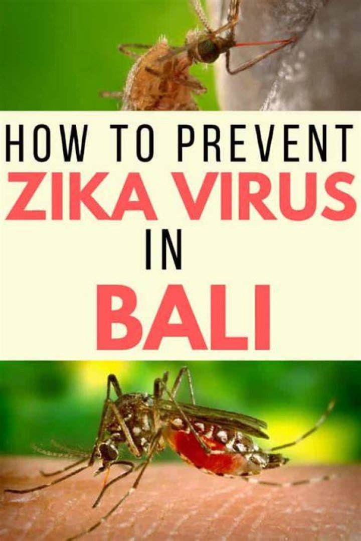 Is Bali a Zika risk?