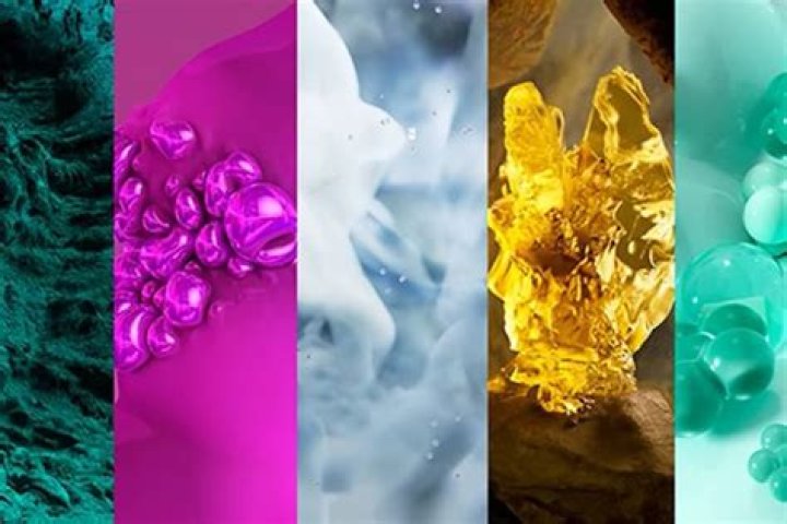 Unveiling Amber Heard's Transformative Journey In 2024: Discoveries And Insights