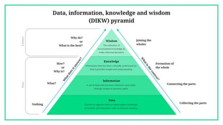 Unveiling Experience, Wisdom, And Societal Impact
