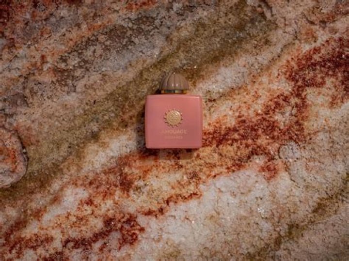 Unveiling The Allure Of Sophie Rain: A Deep Dive Into The World Of Sophie Rain Porno