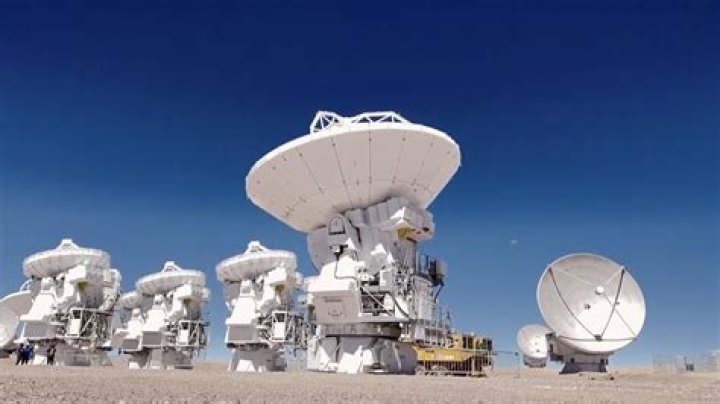 Unveiling The Secrets Of Casper Ruud's Towering Height