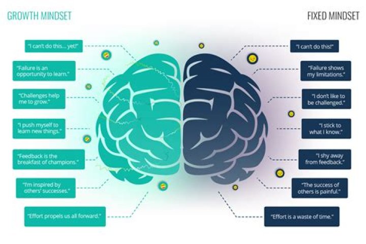 What are 3 examples of a growth mindset?