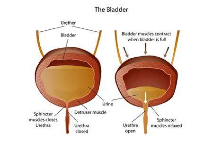 What causes the bladder to not fully empty?
