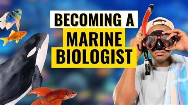 Who Is Marine Biologist Kori
